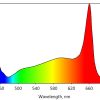 Spectral Power Distribution